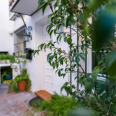 Cyv Vacation In Idyllic 3 Bedroom Appartement *