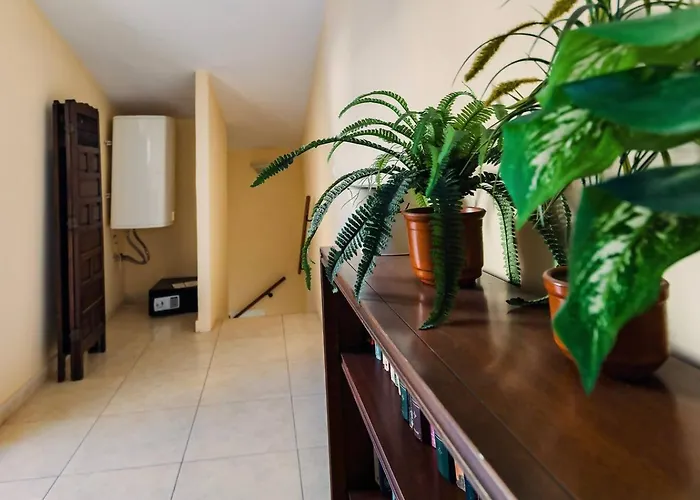 Apartment Cyv Vacation In Idyllic 3 Bedroom *